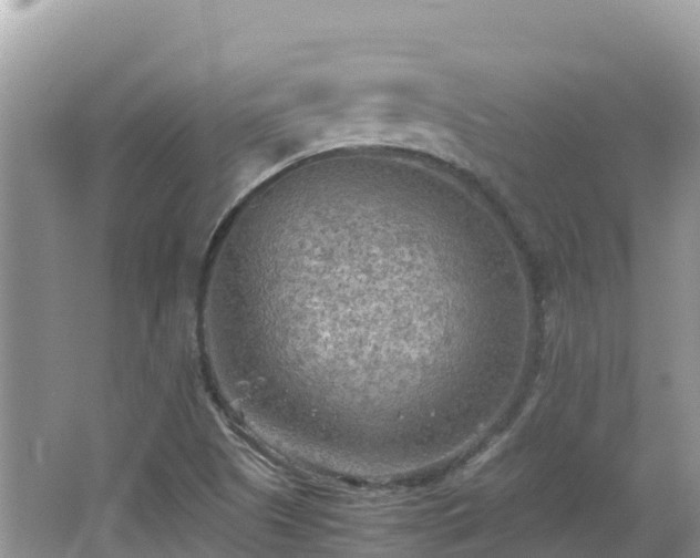 X0000065241505200602211158