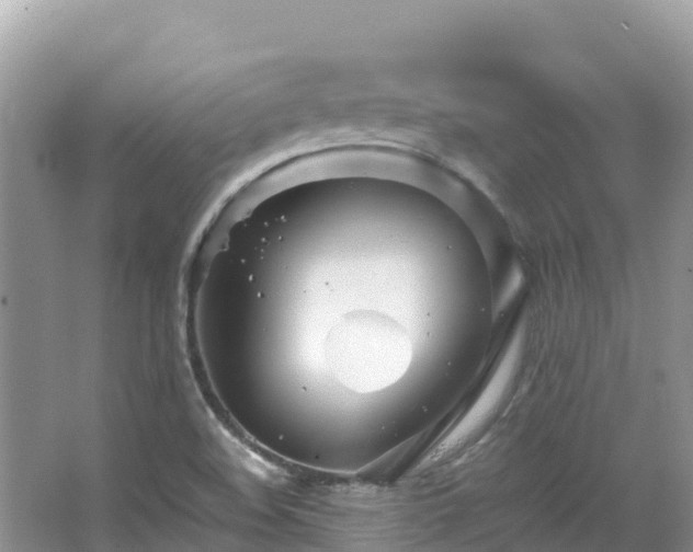 X0000065241508200602211158