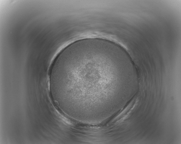 X0000065241509200602211158