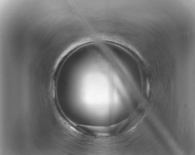 X0000065241510200602211158