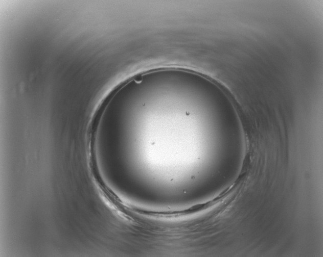 X0000065241511200602211158