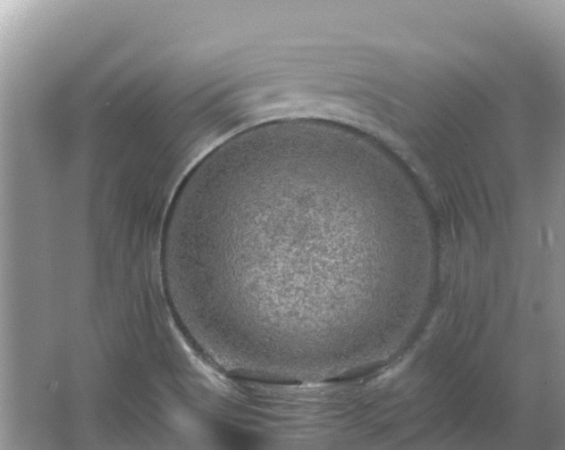 X0000065241513200602211158