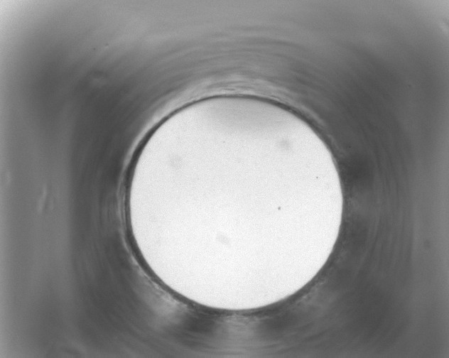 X0000065241514200602211158