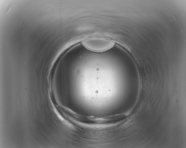 X0000065241515200602211158