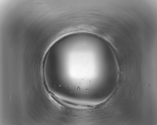 X0000065241516200602211158