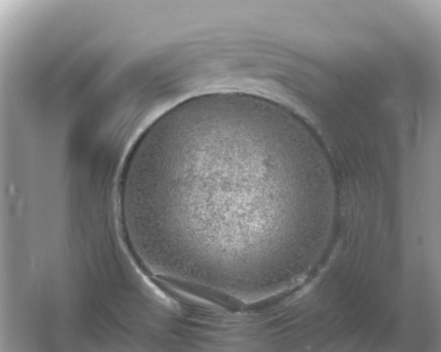 X0000065241517200602211158