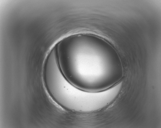 X0000065241518200602211158