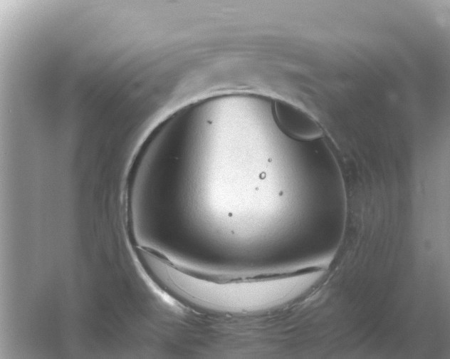 X0000065241519200602211158