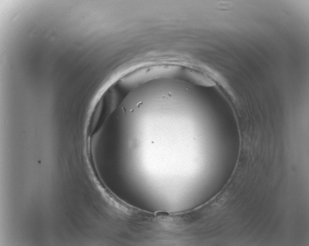 X0000065241520200602211158