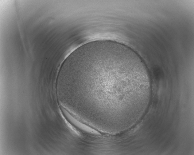 X0000065241521200602211158