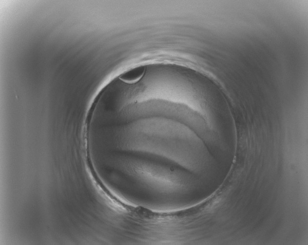 X0000065241522200602211158