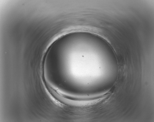 X0000065241523200602211158