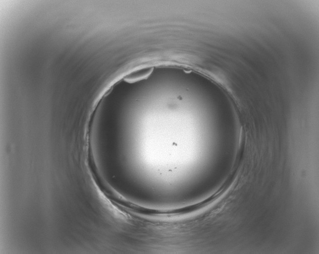 X0000065241524200602211158