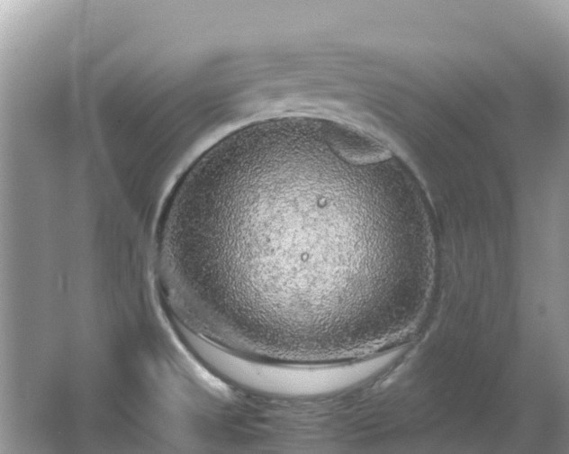 X0000065241525200602211158