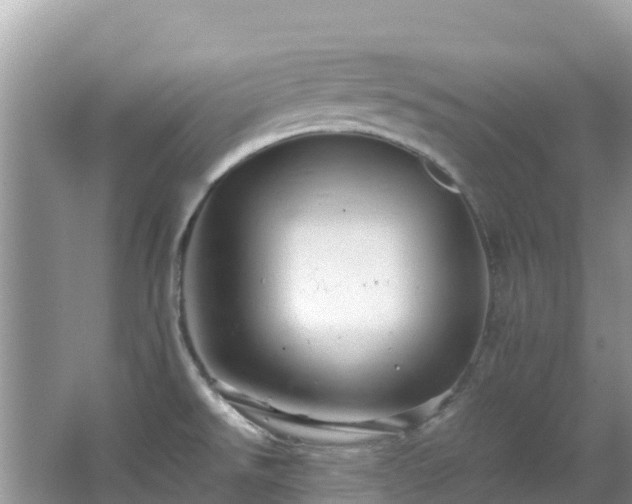 X0000065241526200602211158