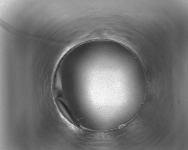 X0000065241527200602211159