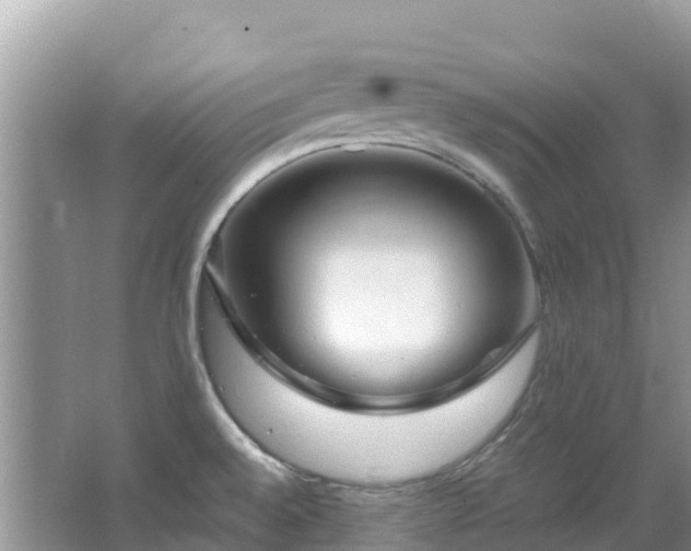 X0000065241528200602211159