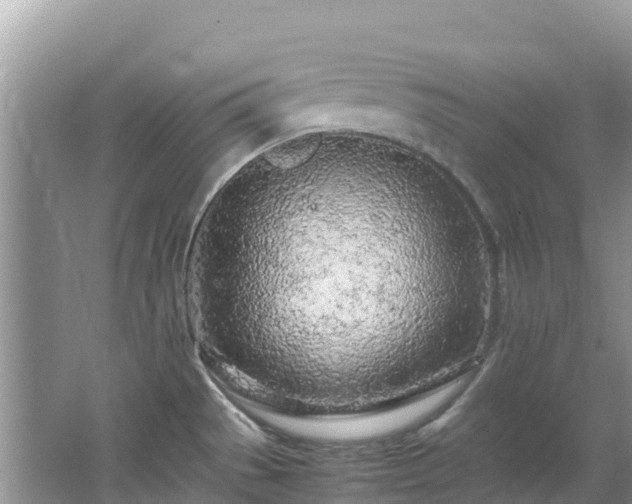 X0000065241529200602211159