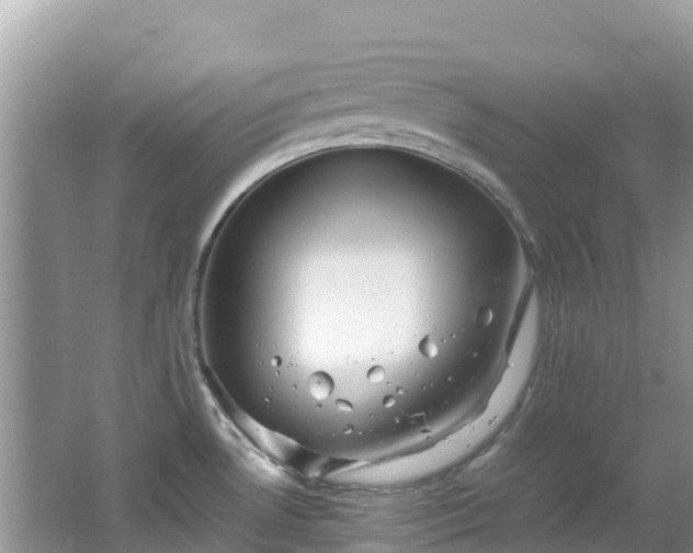 X0000065241530200602211159