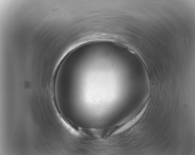 X0000065241531200602211159