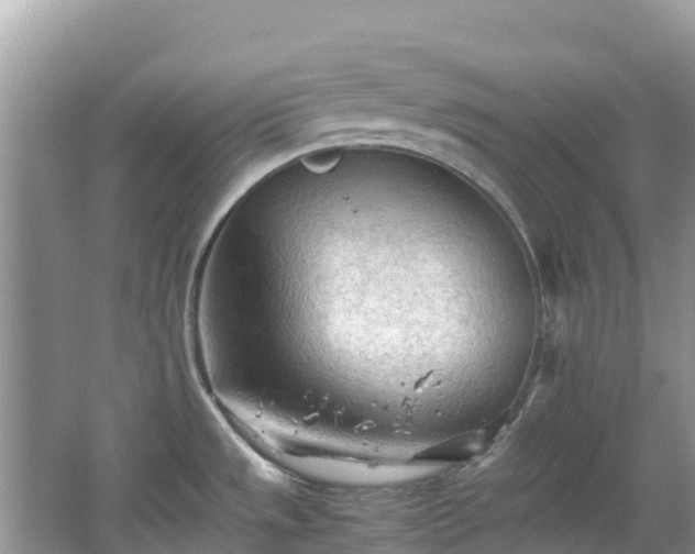 X0000065241533200602211159