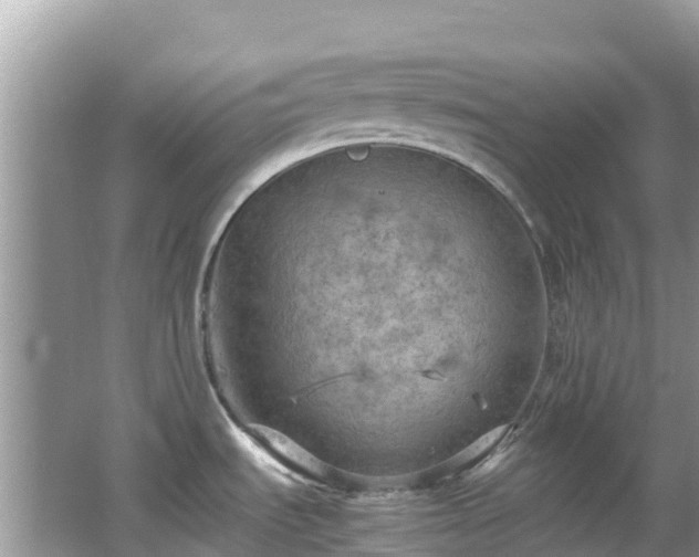 X0000065241535200602211159