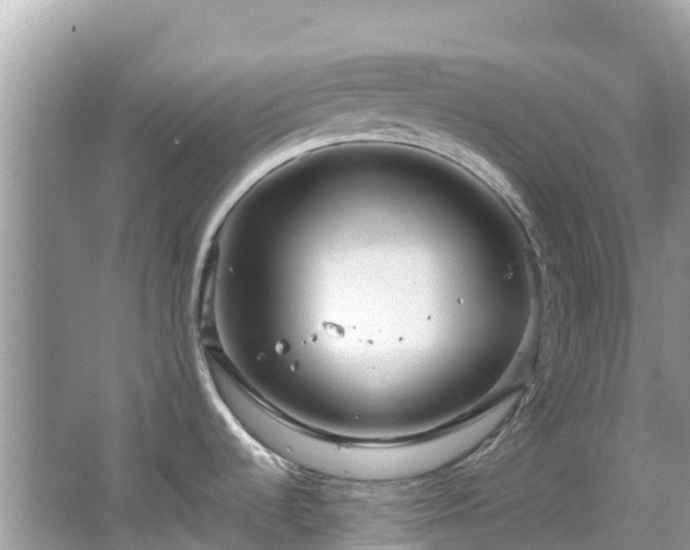 X0000065241536200602211159