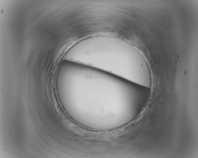 X0000065240001200602242036