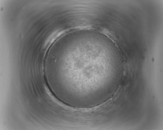 X0000065240002200602242036