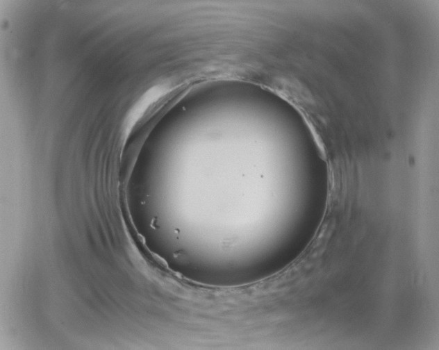 X0000065240003200602242036