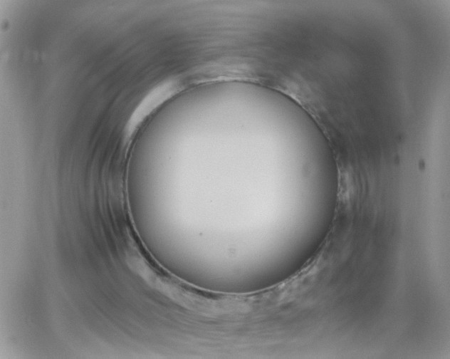 X0000065240004200602242036