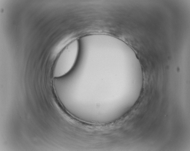 X0000065240005200602242036