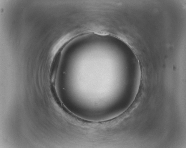 X0000065240007200602242036