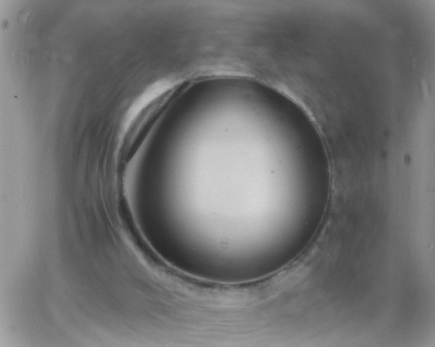 X0000065240008200602242036