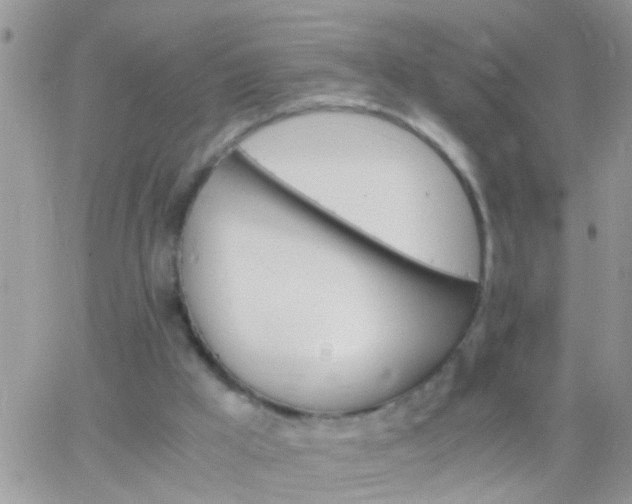 X0000065240009200602242036