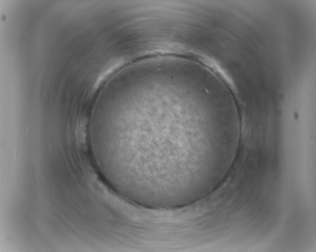 X0000065240010200602242036