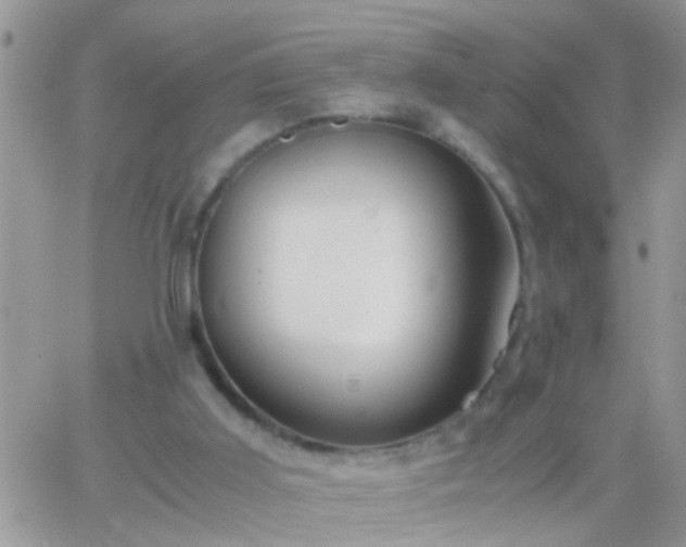 X0000065240011200602242036