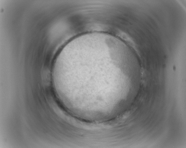 X0000065240012200602242036