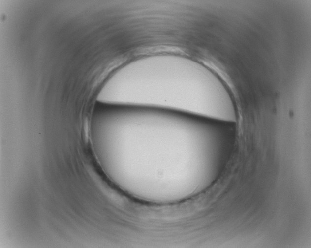 X0000065240013200602242036