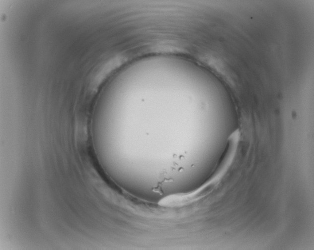 X0000065240015200602242036