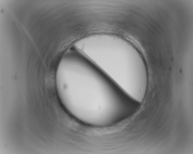 X0000065240017200602242036