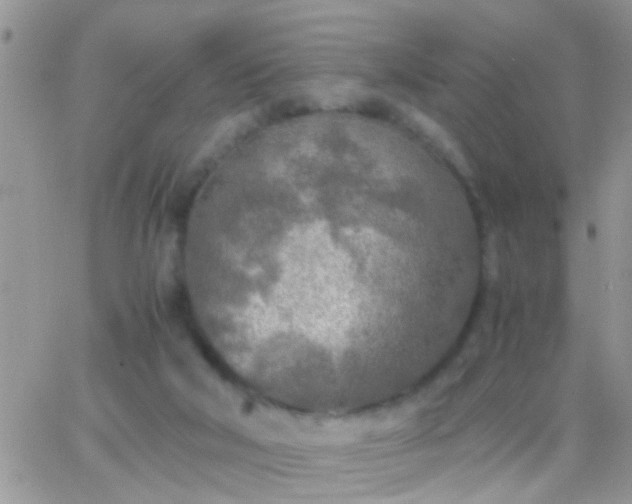 X0000065240018200602242036