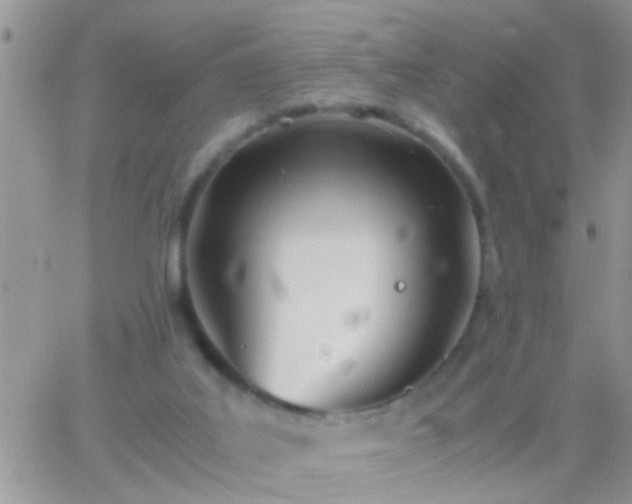 X0000065240019200602242036