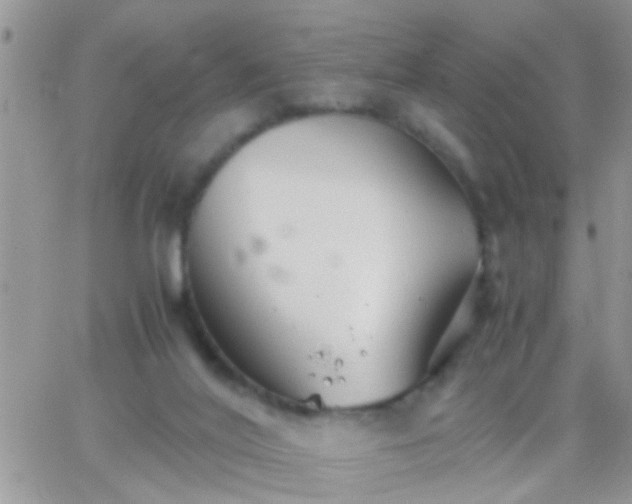 X0000065240020200602242036