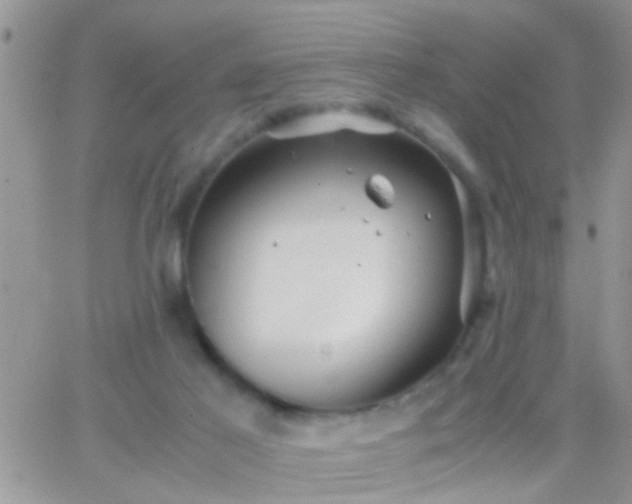 X0000065240021200602242036