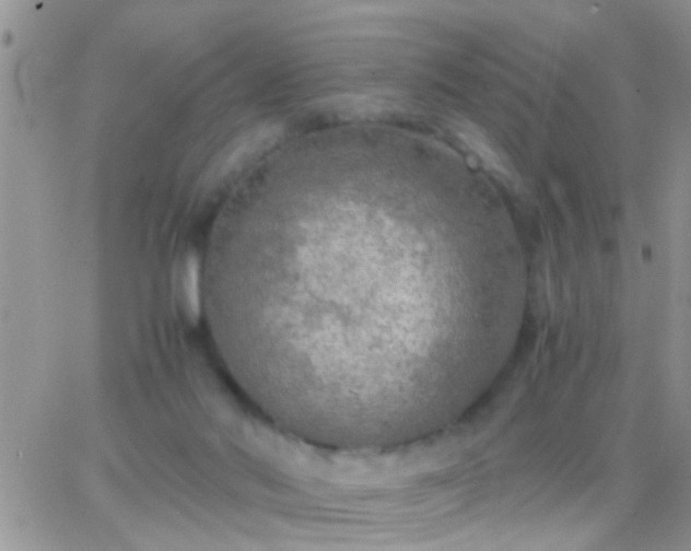 X0000065240022200602242036