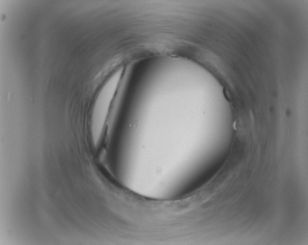 X0000065240023200602242036