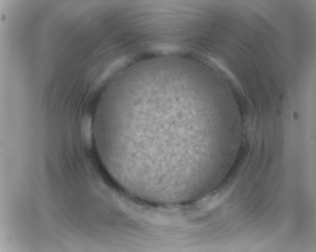 X0000065240024200602242036