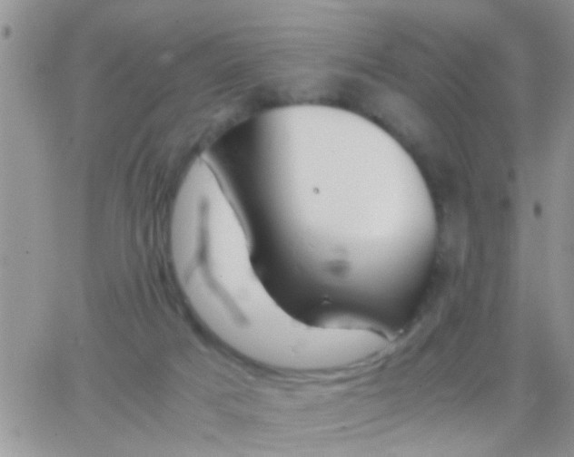 X0000065240025200602242036