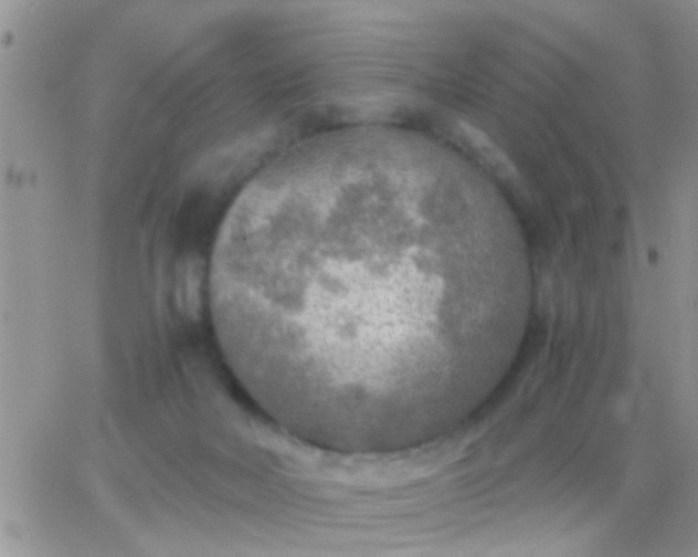 X0000065240026200602242036